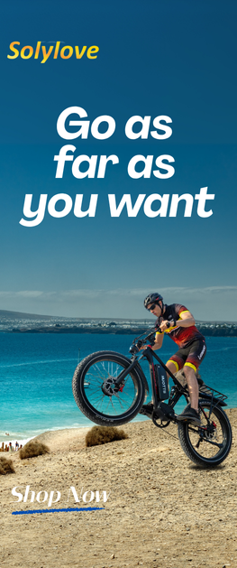 OneSport OT07 E Bike